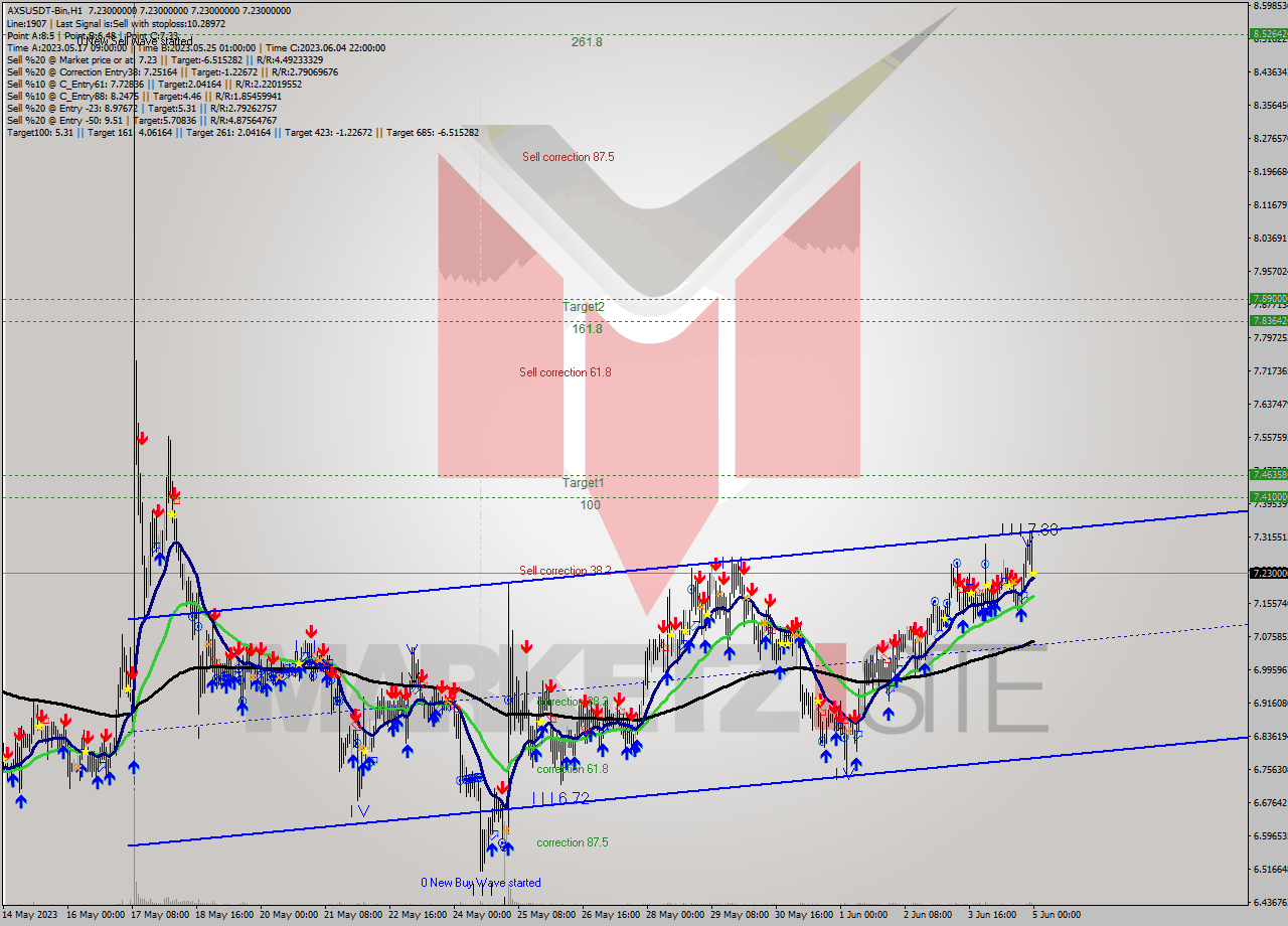 AXSUSDT-Bin H1 Signal
