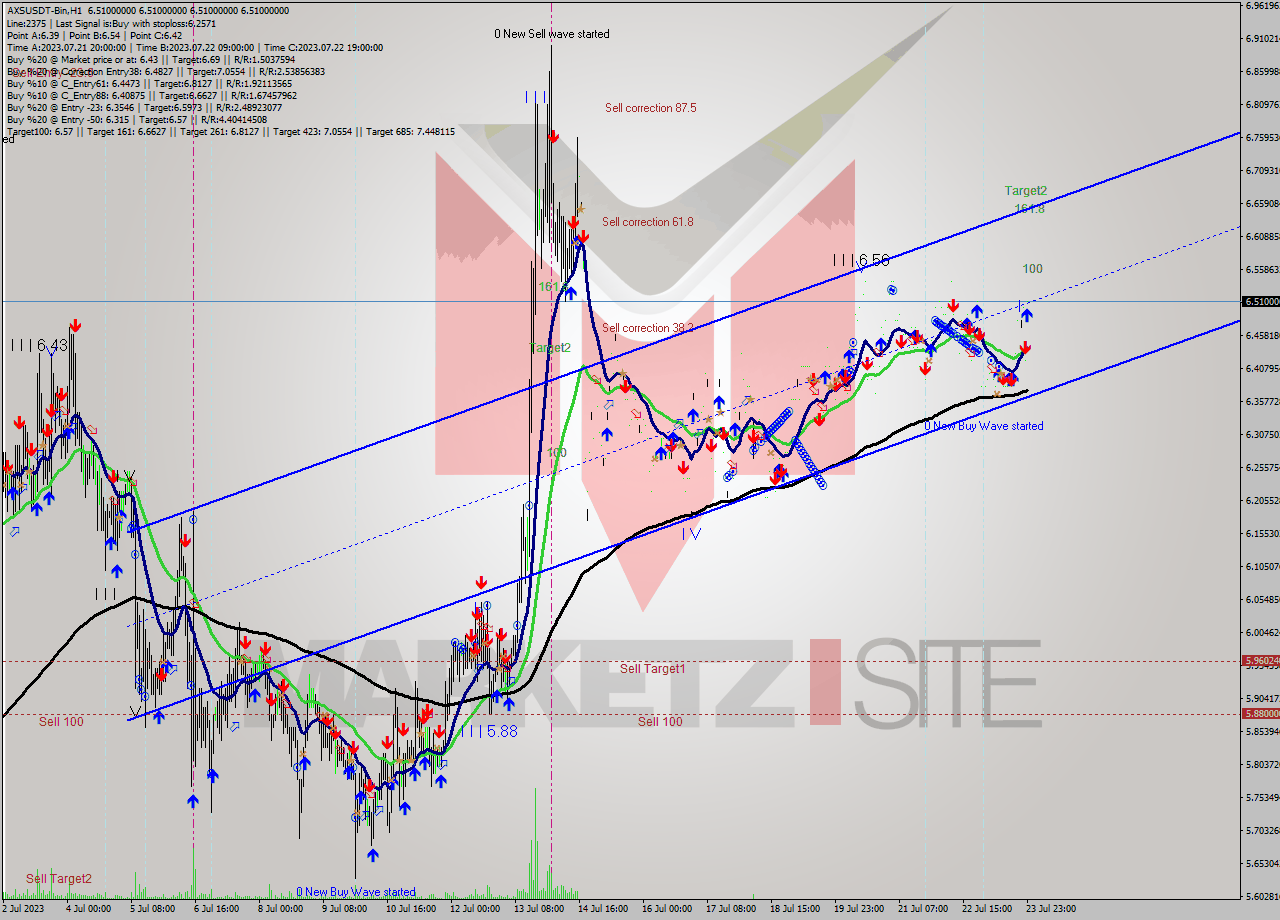 AXSUSDT-Bin H1 Signal