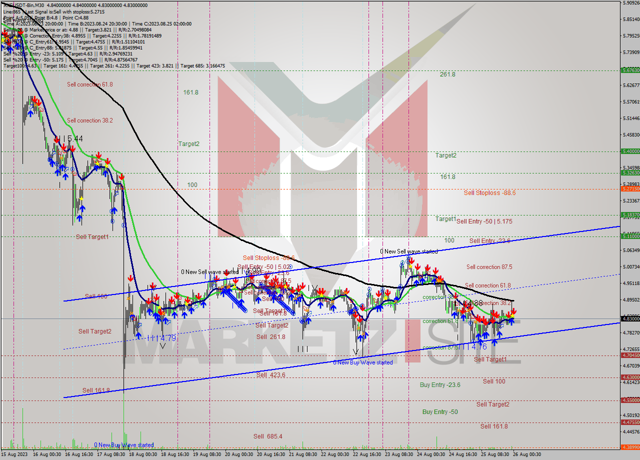 AXSUSDT-Bin M30 Signal