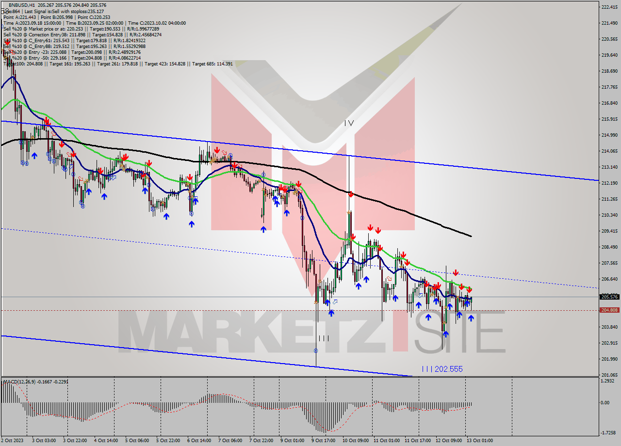 BNBUSD H1 Signal