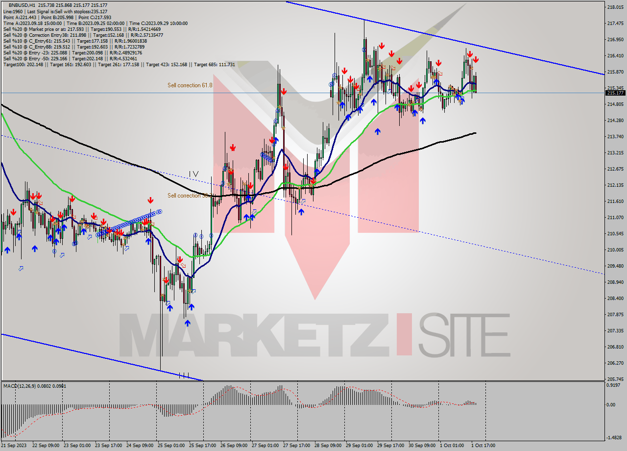 BNBUSD H1 Signal