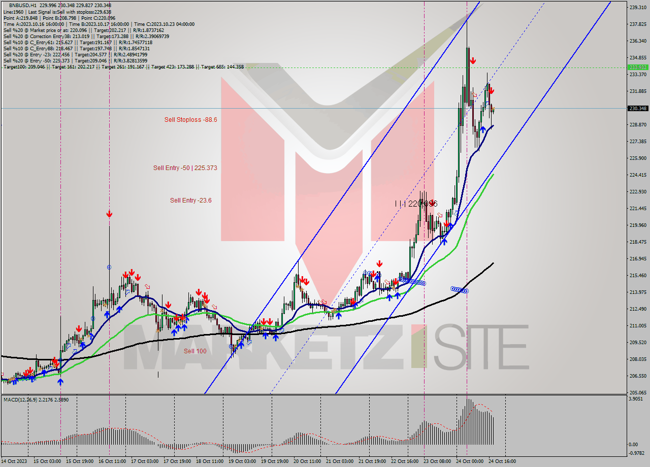 BNBUSD H1 Signal