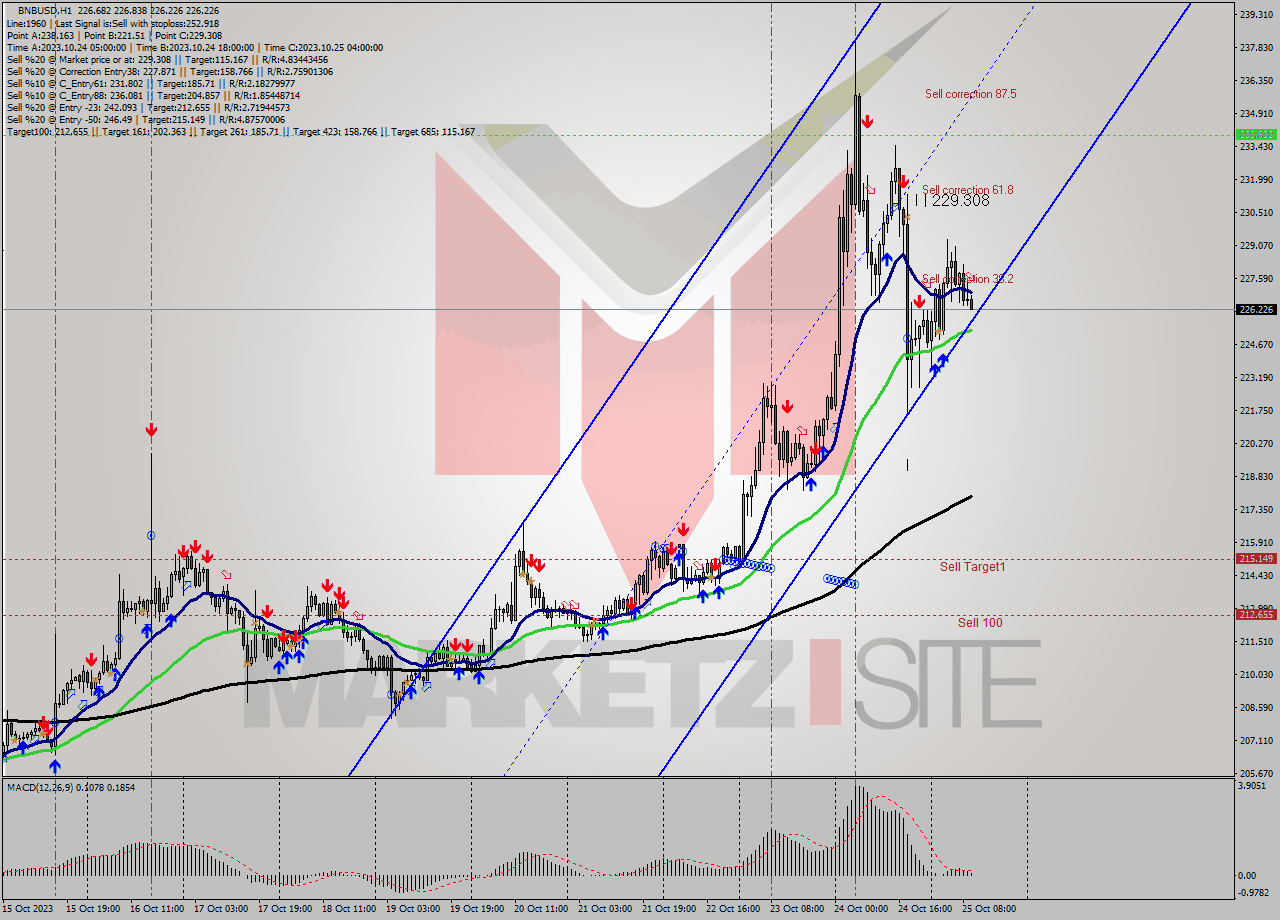 BNBUSD H1 Signal