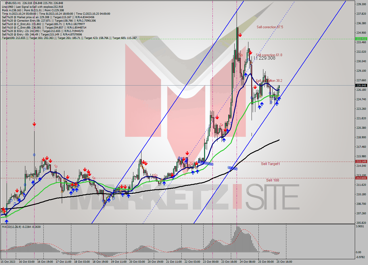 BNBUSD H1 Signal