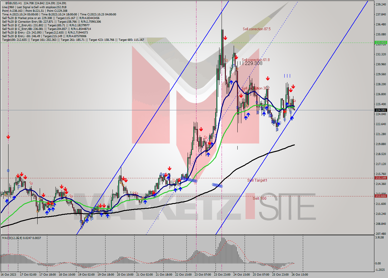 BNBUSD H1 Signal