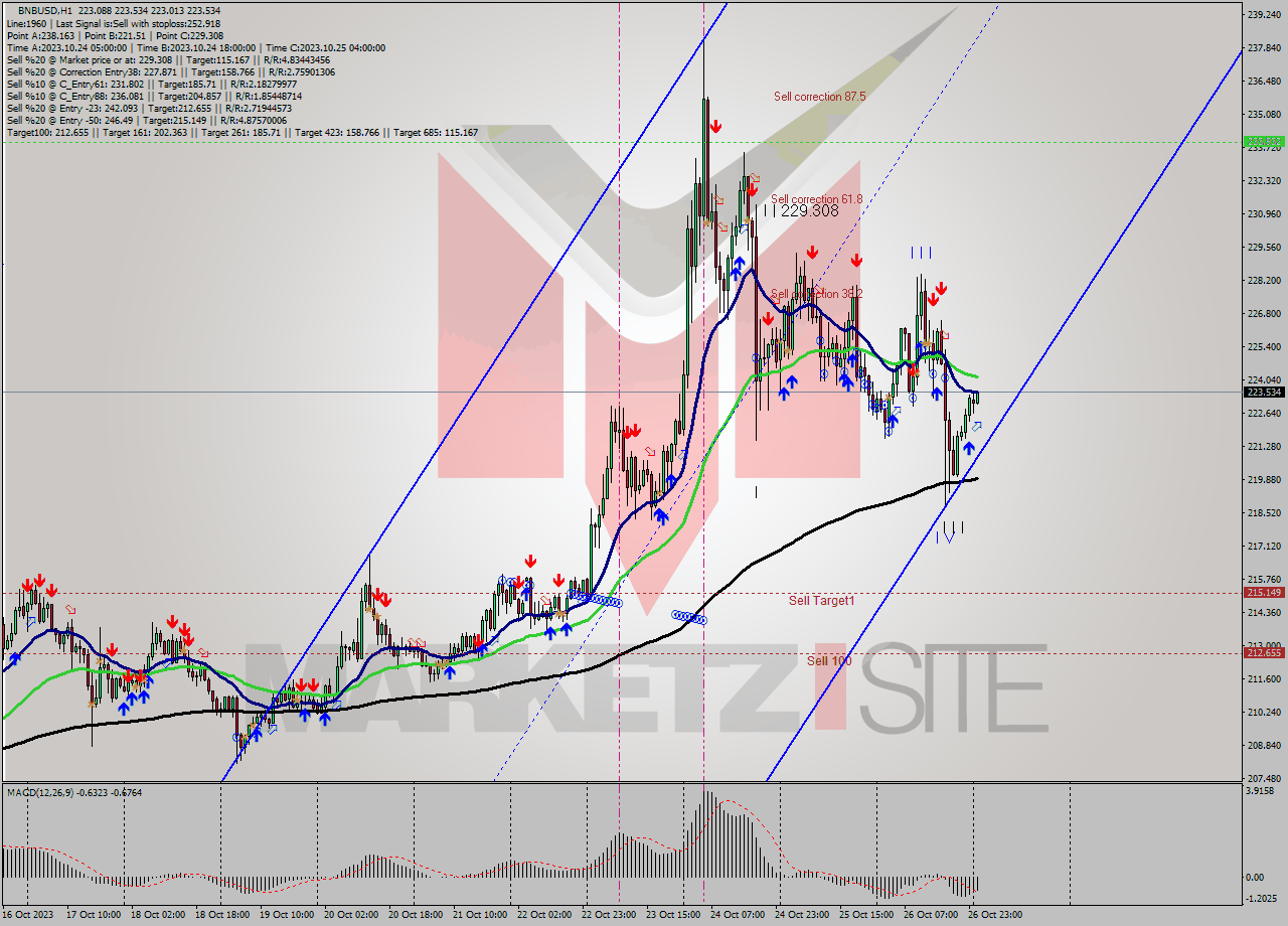 BNBUSD H1 Analysis BNBUSD H1 Signal