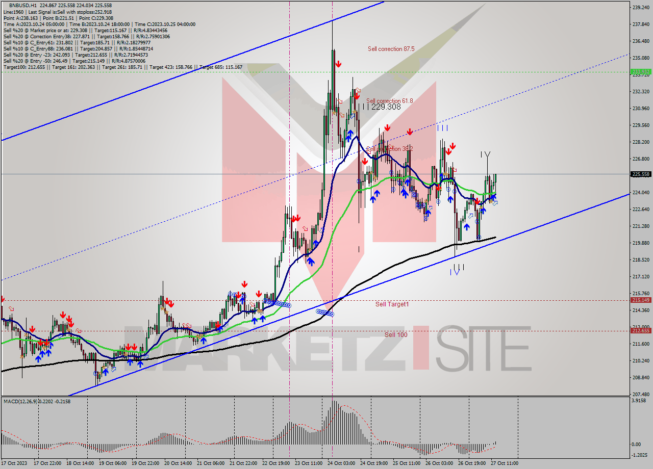BNBUSD H1 Signal