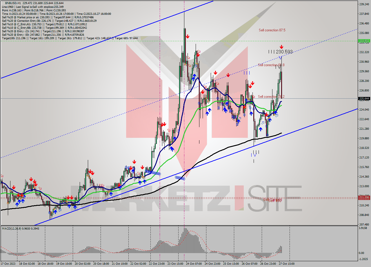 BNBUSD H1 Analysis BNBUSD H1 Signal