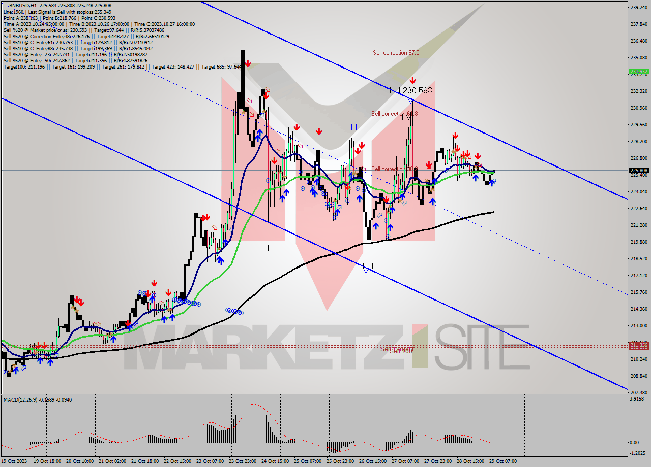 BNBUSD H1 Signal