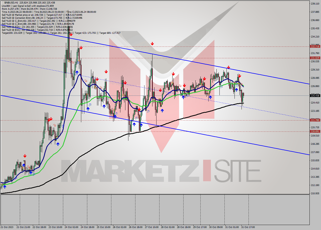 BNBUSD H1 Signal