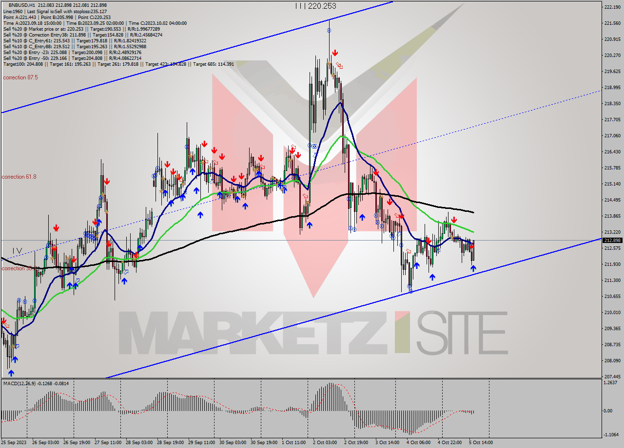 BNBUSD H1 Signal