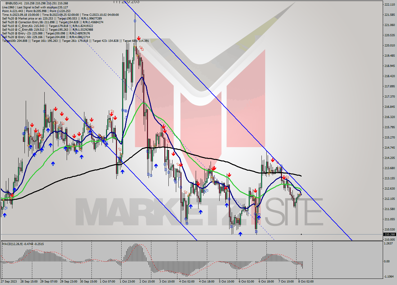 BNBUSD H1 Analysis BNBUSD H1 Signal