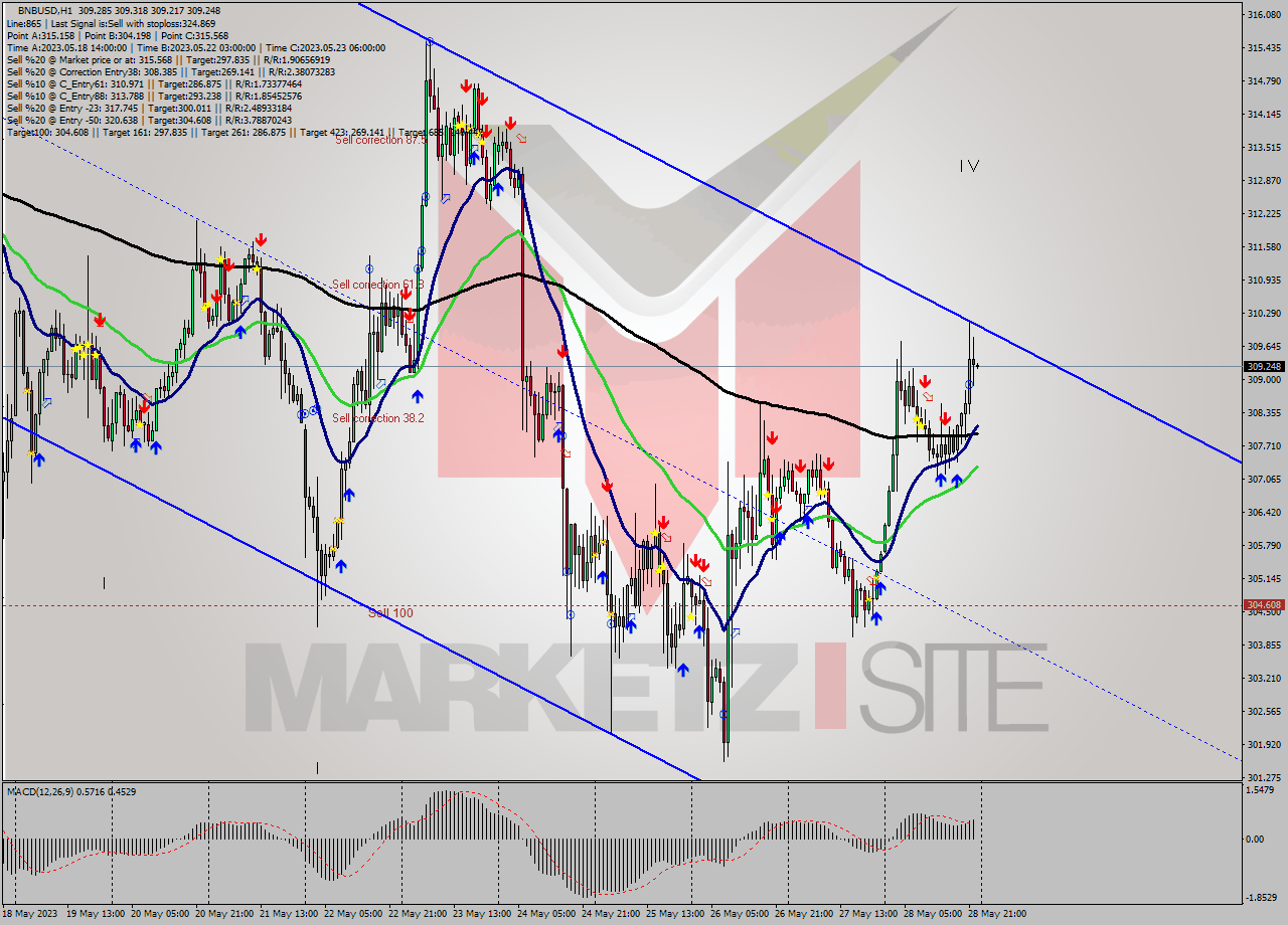 BNBUSD H1 Analysis BNBUSD H1 Signal
