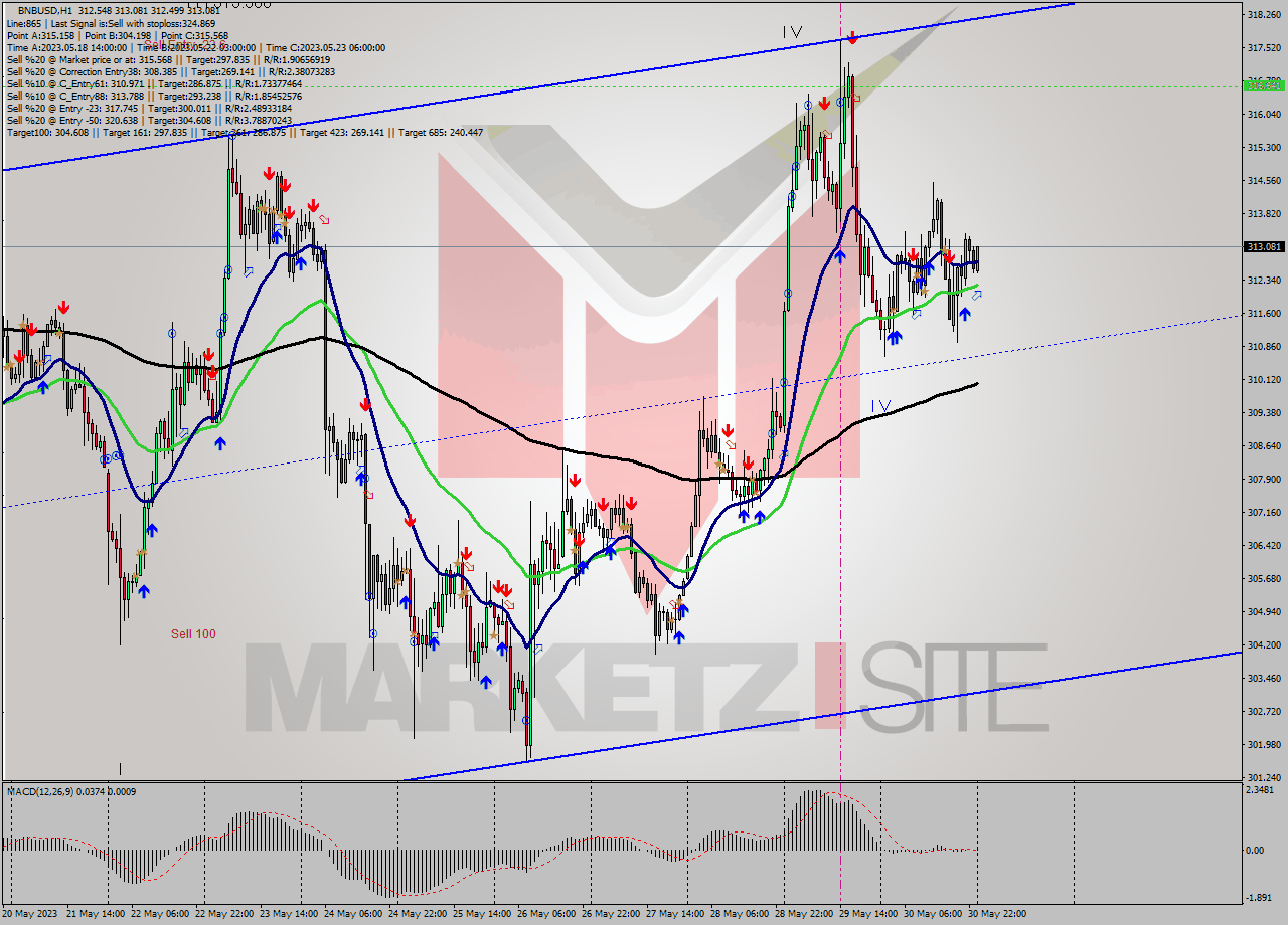 BNBUSD H1 Signal