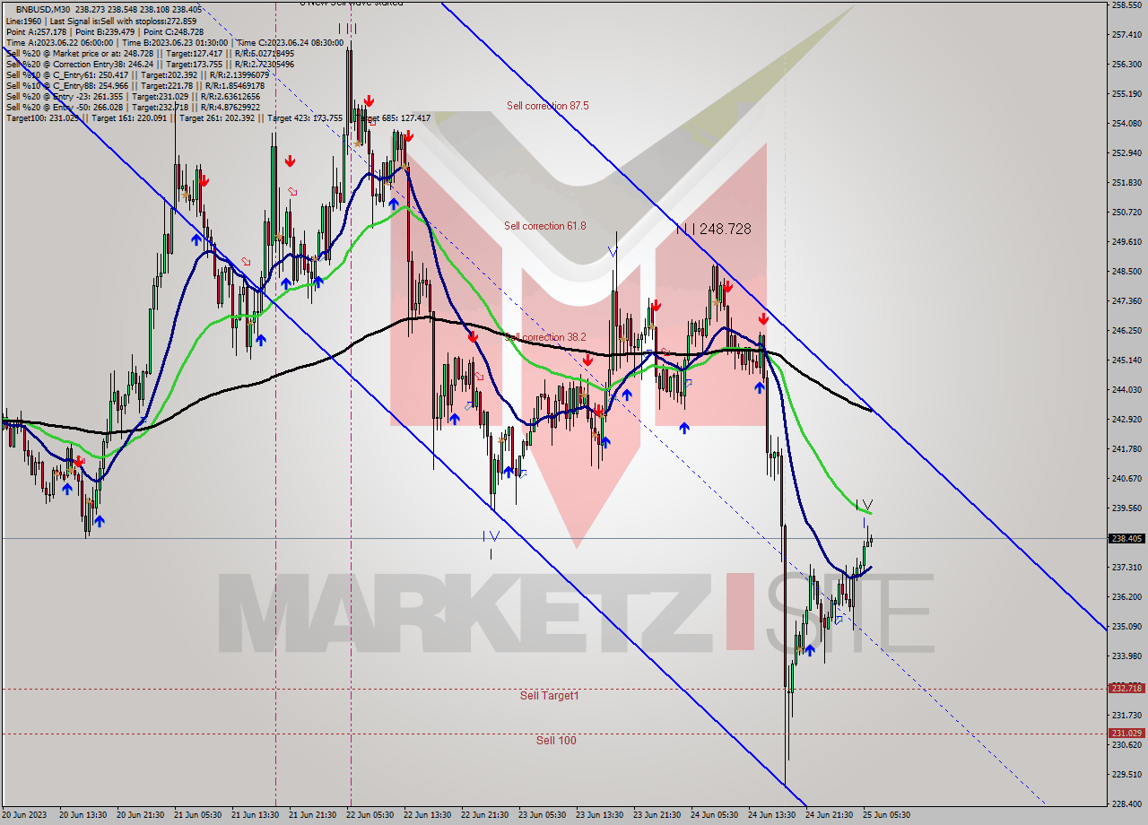 BNBUSD M30 Signal