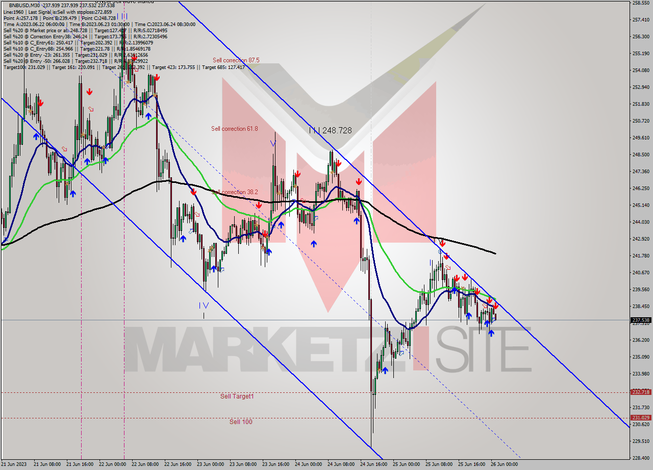 BNBUSD M30 Signal