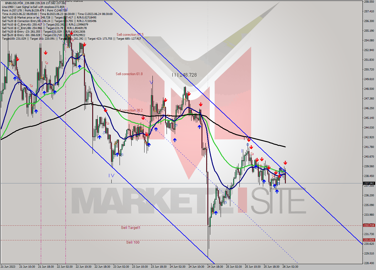 BNBUSD M30 Signal