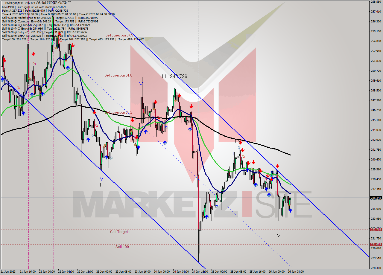 BNBUSD M30 Signal
