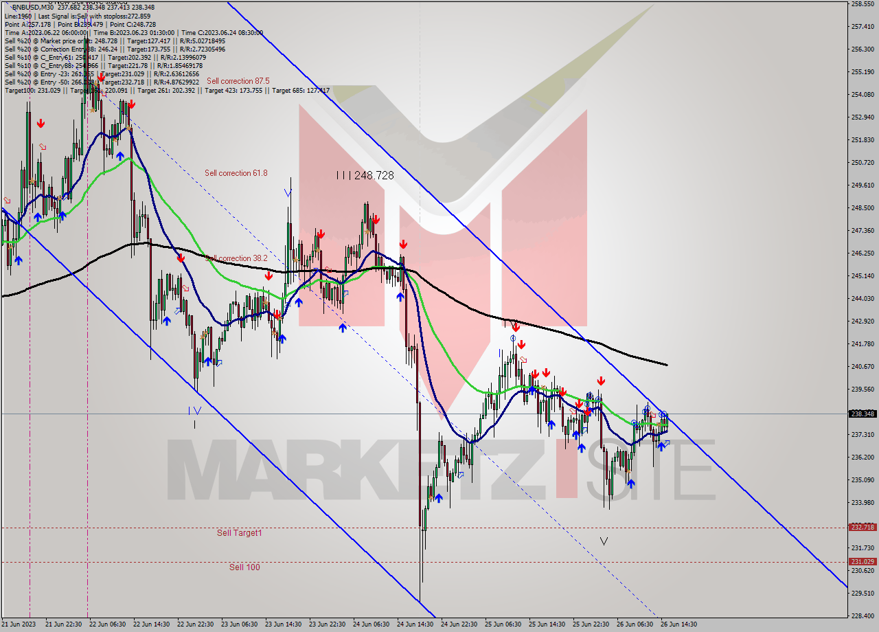 BNBUSD M30 Signal