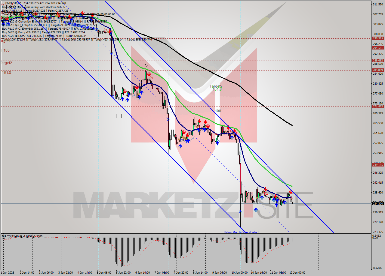 BNBUSD H1 Signal