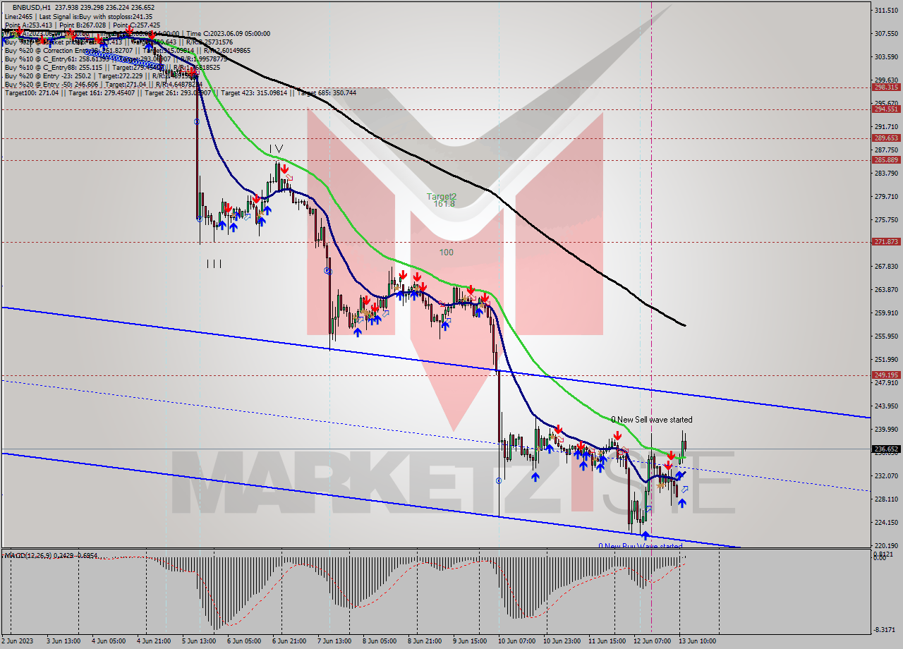BNBUSD H1 Signal