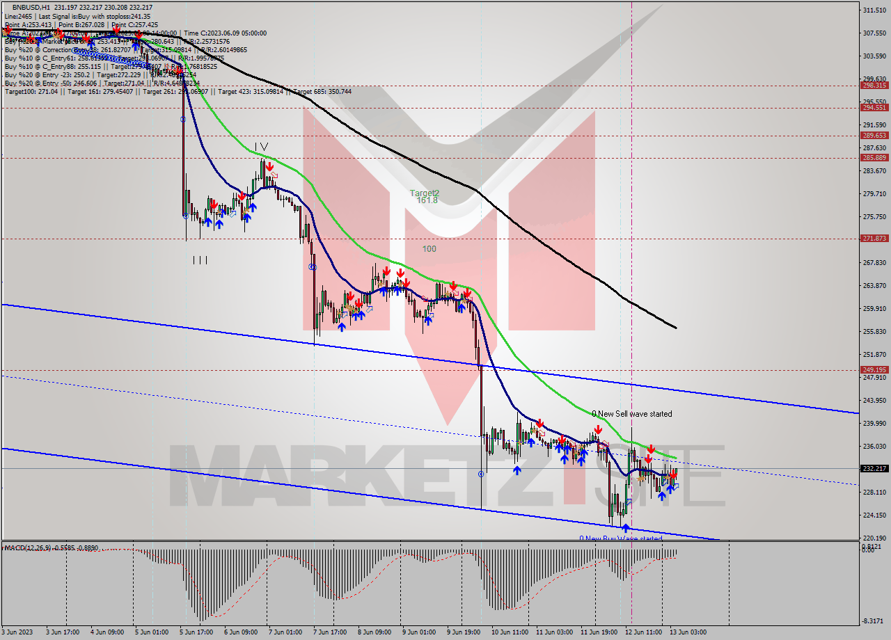 BNBUSD H1 Analysis BNBUSD H1 Signal