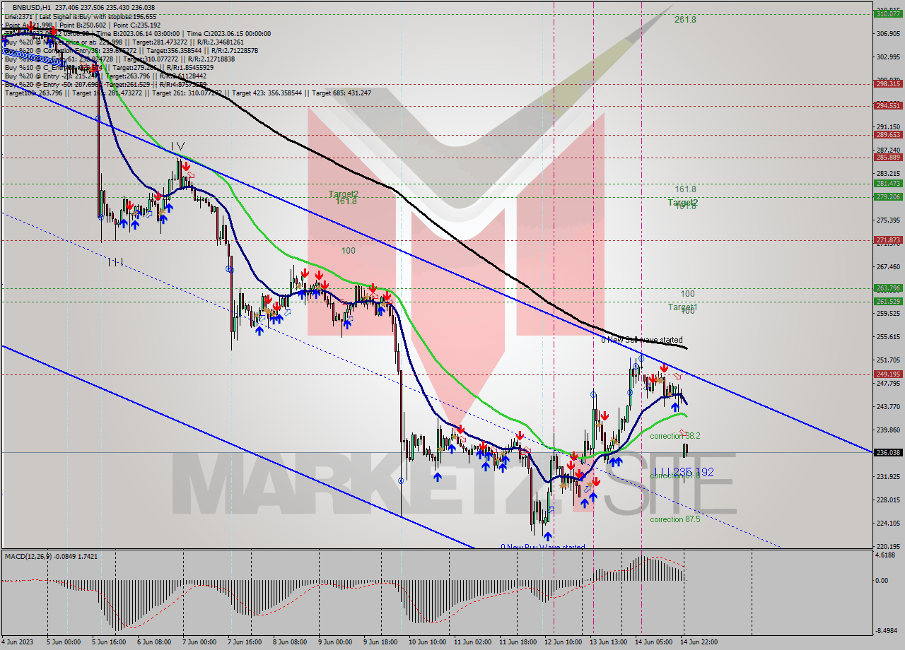 BNBUSD H1 Signal