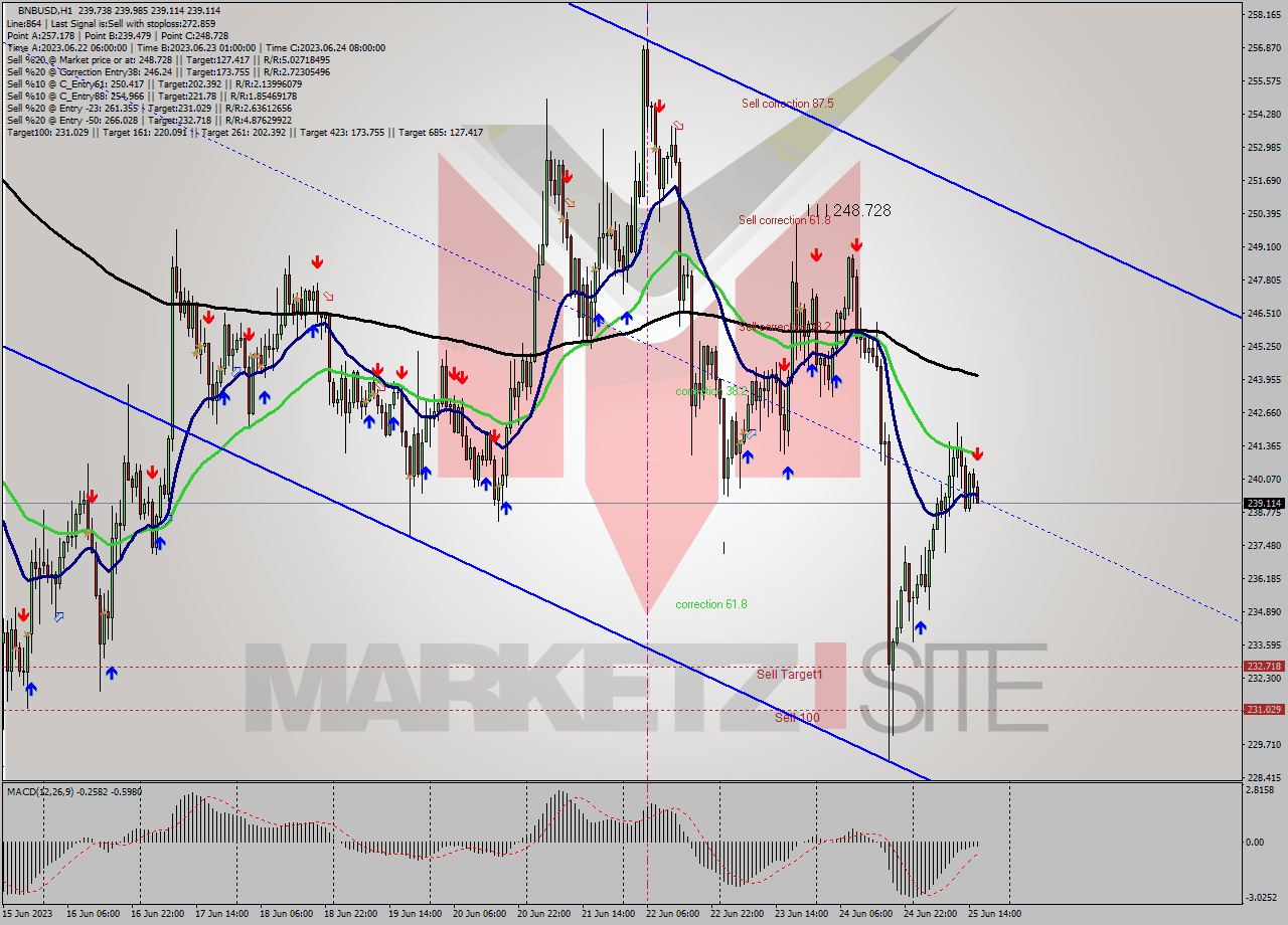 BNBUSD H1 Signal