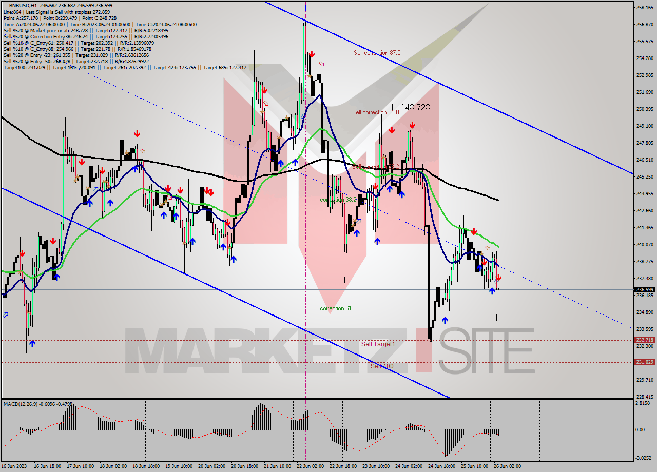 BNBUSD H1 Signal