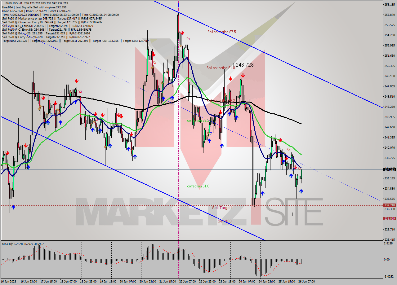 BNBUSD H1 Signal