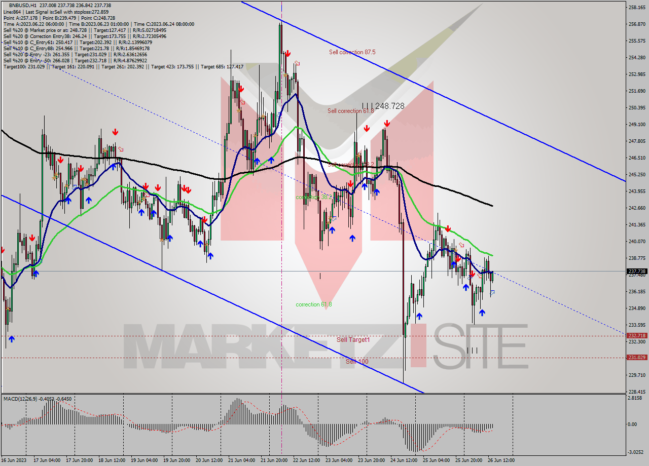 BNBUSD H1 Signal