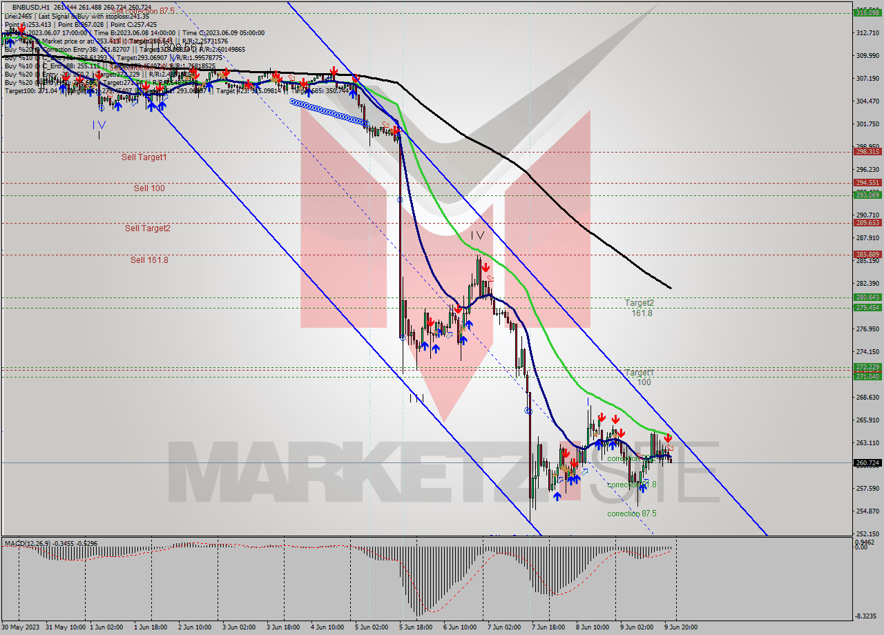 BNBUSD H1 Signal