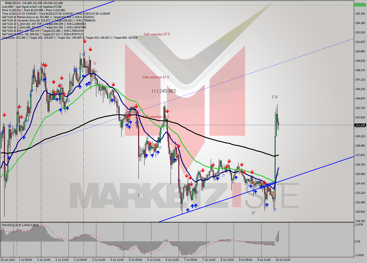 BNBUSD H1 Signal