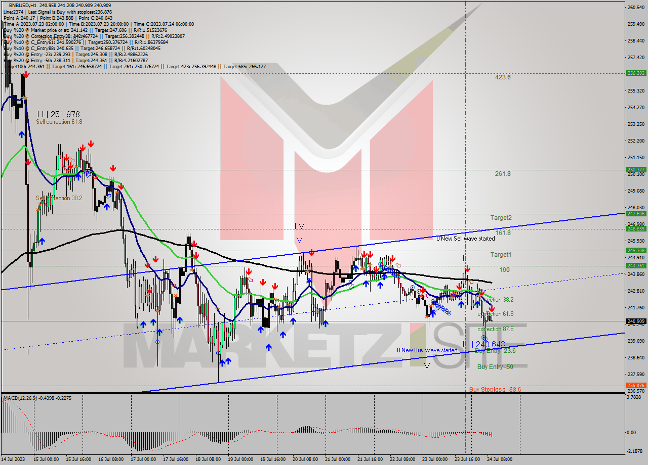 BNBUSD H1 Analysis BNBUSD H1 Signal