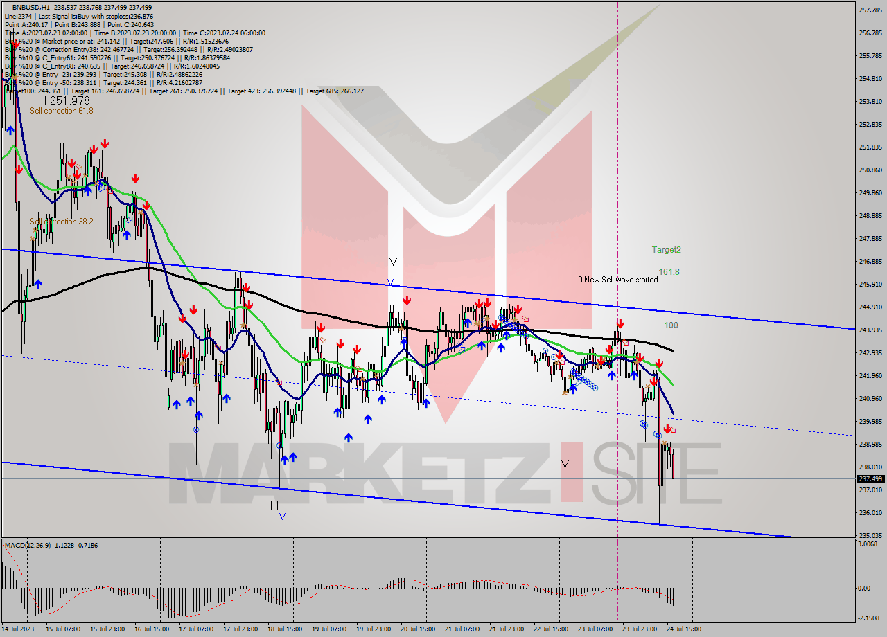 BNBUSD H1 Analysis BNBUSD H1 Signal