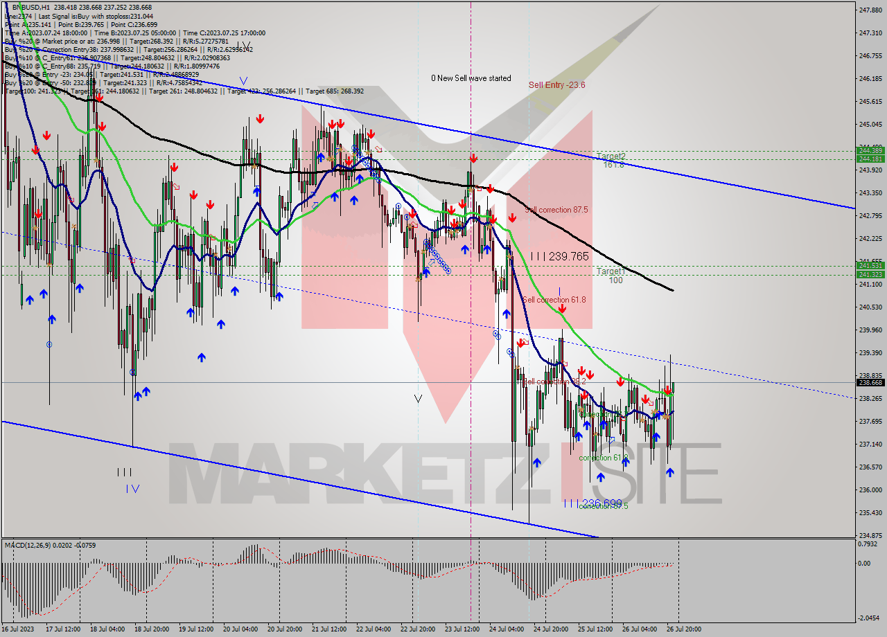 BNBUSD H1 Analysis BNBUSD H1 Signal