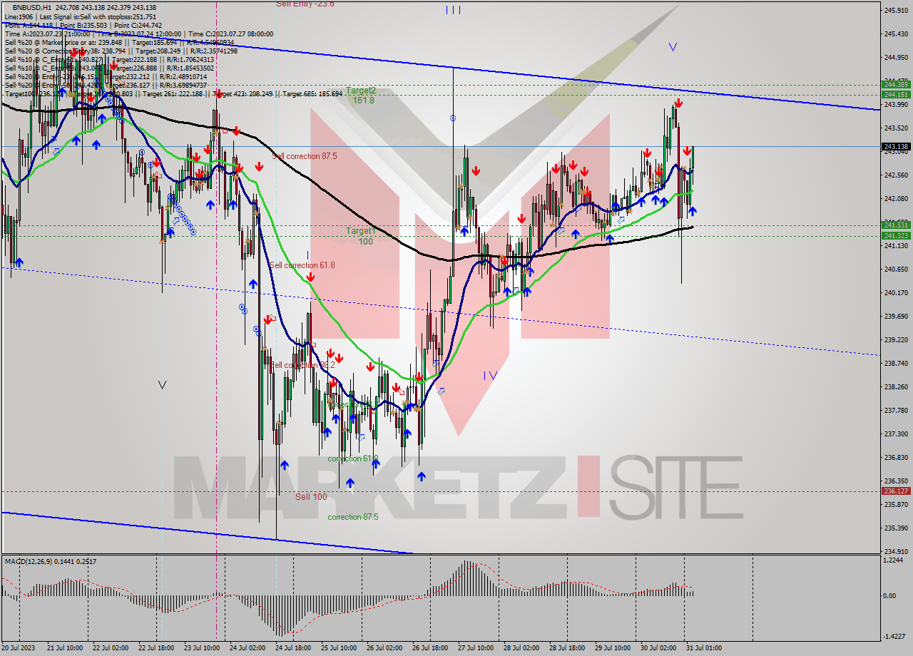 BNBUSD H1 Analysis BNBUSD H1 Signal