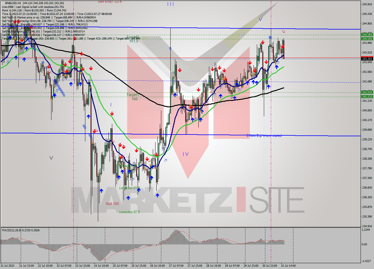 BNBUSD H1 Signal