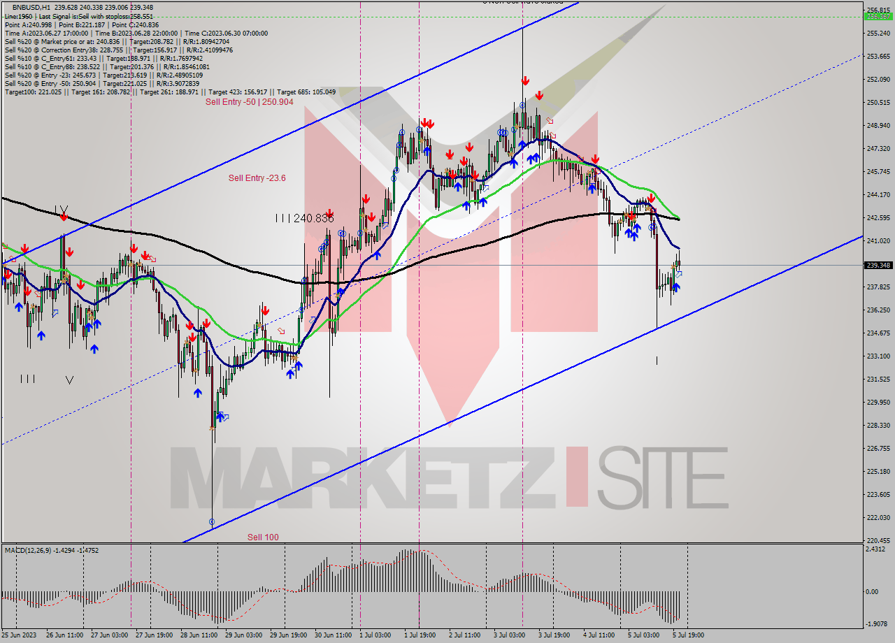BNBUSD H1 Signal