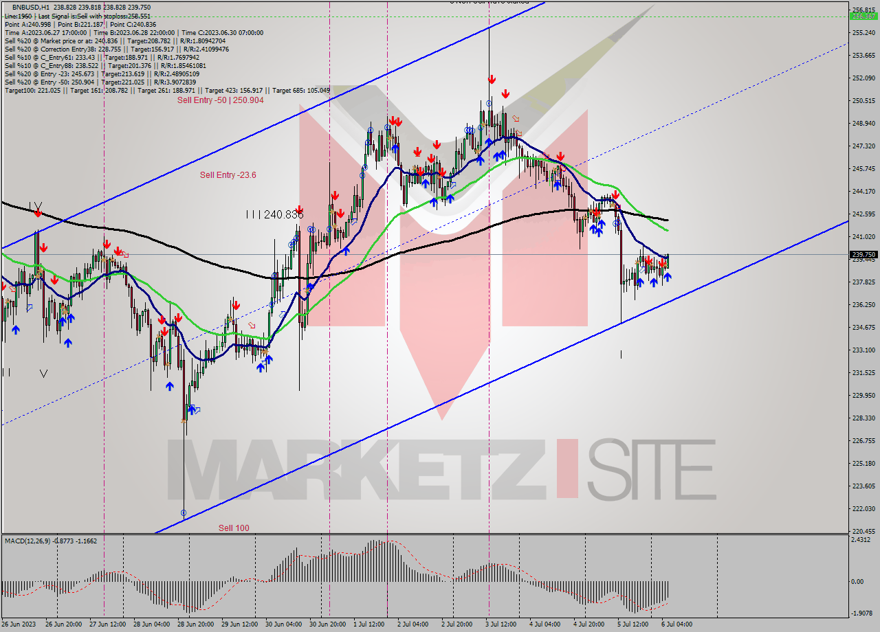 BNBUSD H1 Analysis BNBUSD H1 Signal