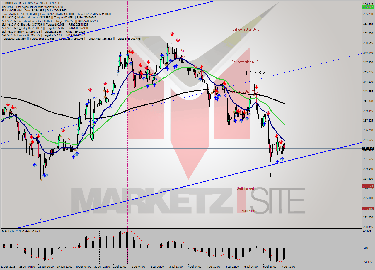 BNBUSD H1 Signal