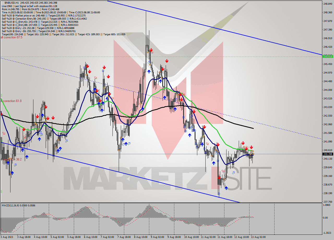 BNBUSD H1 Signal