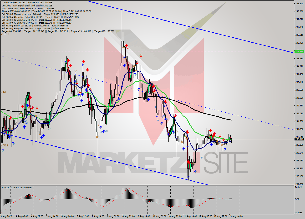 BNBUSD H1 Signal