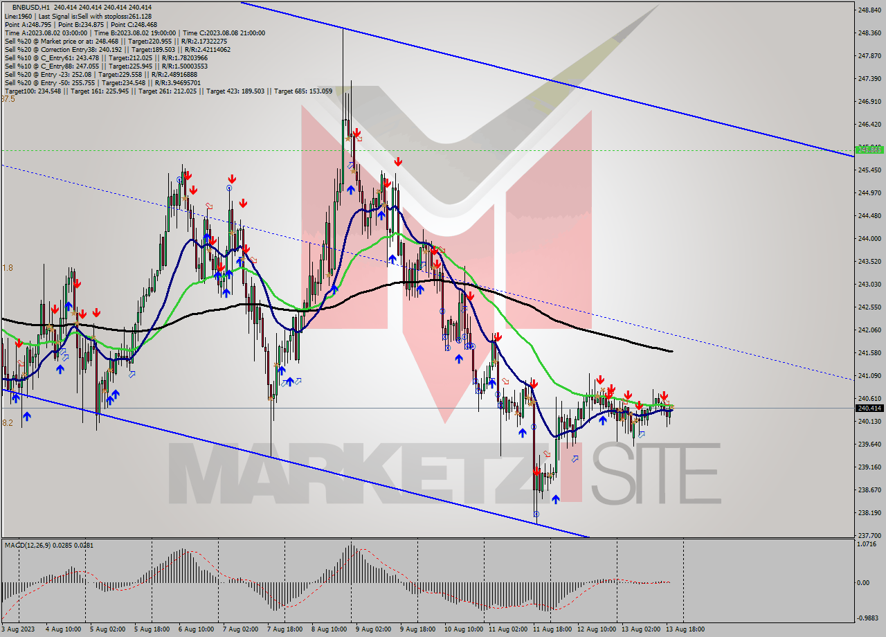 BNBUSD H1 Signal