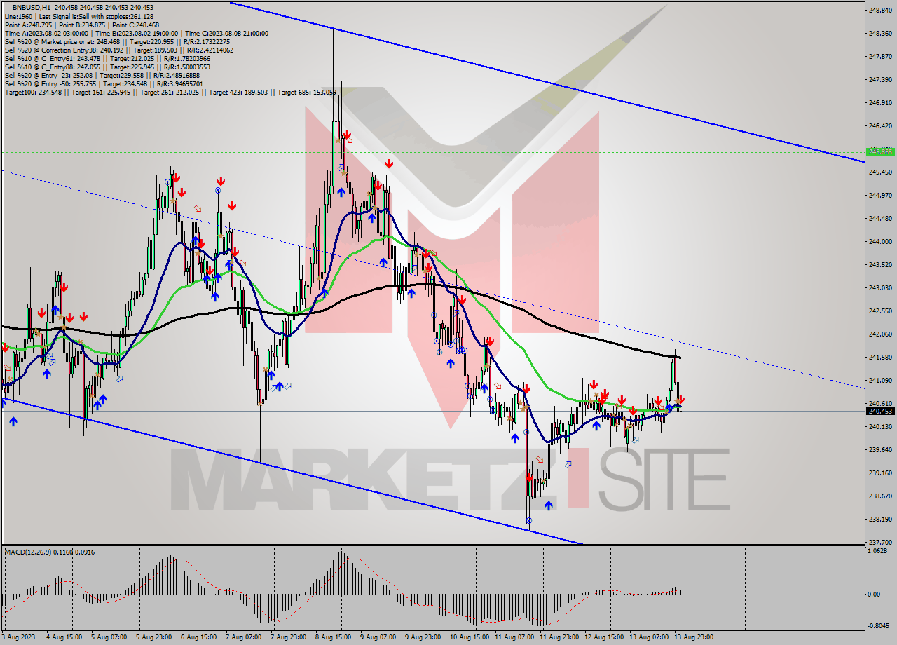 BNBUSD H1 Signal