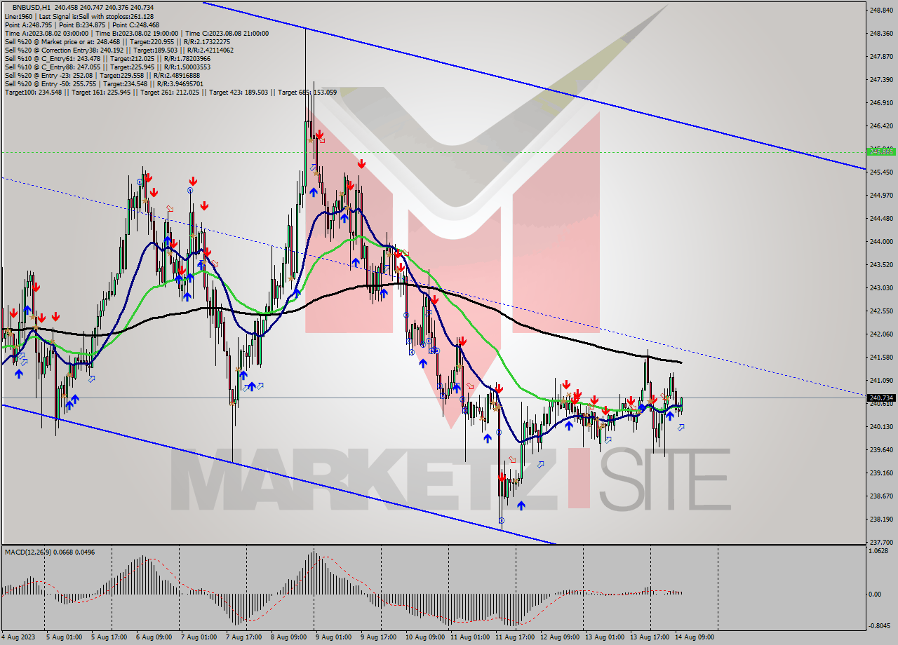 BNBUSD H1 Signal