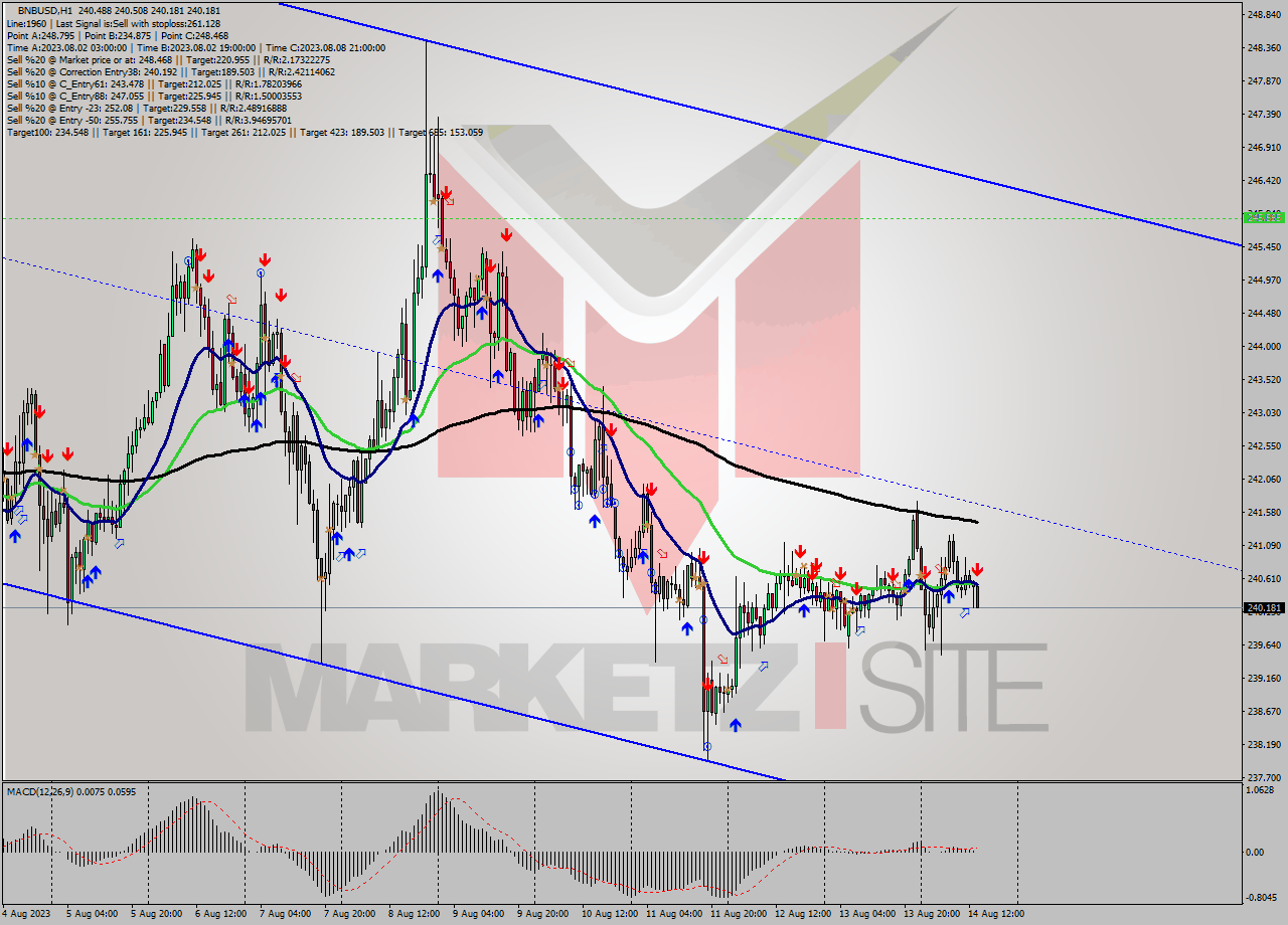 BNBUSD H1 Signal