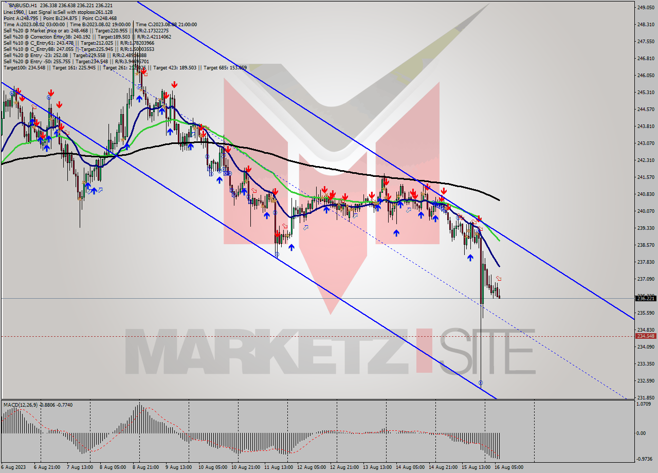 BNBUSD H1 Analysis BNBUSD H1 Signal