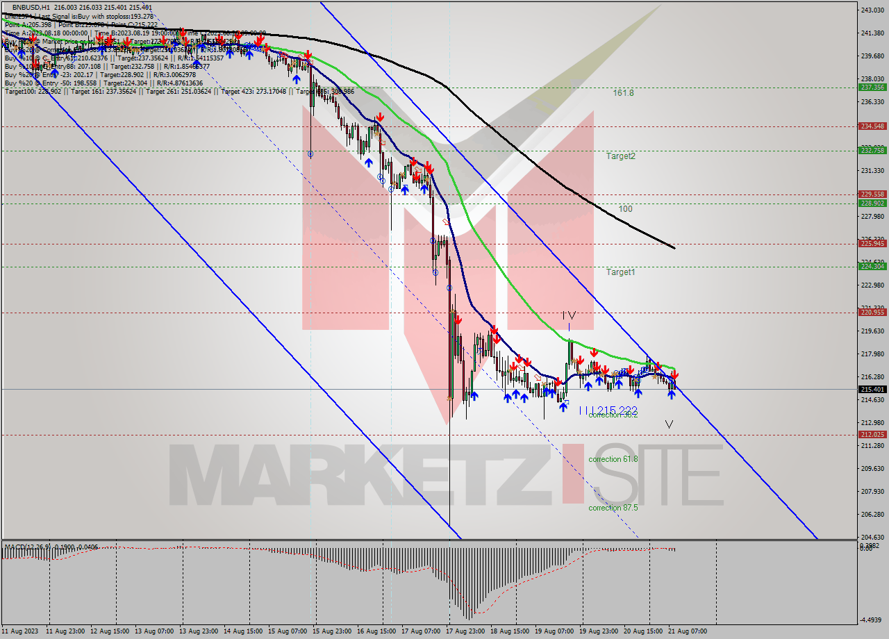 BNBUSD H1 Analysis BNBUSD H1 Signal