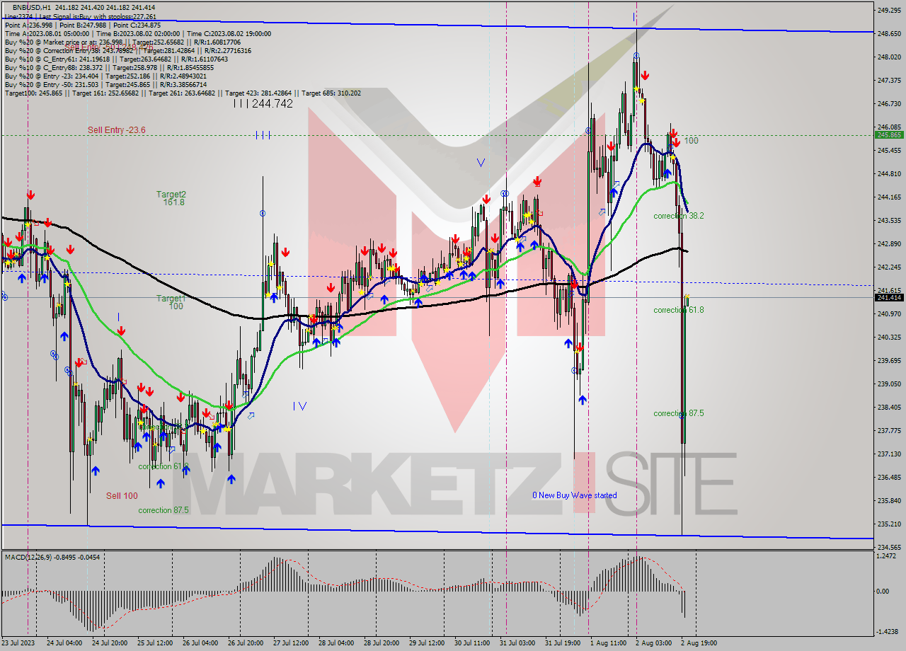 BNBUSD H1 Analysis BNBUSD H1 Signal
